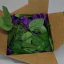 Felice Arts 2 Pack Dark Purple Artificial Floral Garland Each 6.5FT Fake Rose Vine Hanging Rose Garland for Wedding Flowers Table Centerpiece Arrangement Room Teepee Mirror Decor