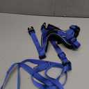 PUPTECK Cat Harness and Leash Set Escape Proof for Walking, Breathable Mash Vest Adjustable Harness for Cats Puppy Small Animals, Reflective at Night, Blue Small (Neck 9"-11.4", Chest 11"-16.1")