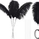 Ballinger Black Ostrich Feathers Bulk - Making Kit 10Pcs 28inch Large Ostrich Feathers for Floral Arrangement, Vase, Wedding Party Centerpieces and Halloween Home Decor