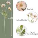 Artificial Flowers 5Pcs Poppies Flowers Artificial Silk Flowers for Home Office Wedding Outdoor Decor (Champagne)