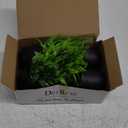 Der Rose Fake Plants 4 Packs Artificial Plants Small Faux Plants Black Bathroom Accessories for Halloween Bathroom Home Kitchen Coffee Table Office Desk Decor Indoor (Green)