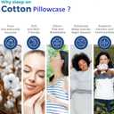 Travel Pillow Case 12x18 Size Pack of 2 Pieces 100% Egyptian Cotton Envelope Closure 500 Thread Count Toddler Pillowcase Fits Up to 12x18, 12x16 or 11x15 White