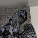 Forged Dice Co. Dragon Dice Jail - D&D Dice Holder and Storage Box with Removable Collectors Dragon Miniature - Fits Up to 2 Standard Polyhedral RPG Sets - Black