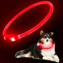 Flashseen LED Dog Collar, USB Rechargeable Glowing Lighted Up Collar, Cuttable Water-Resistant TPU Safety Collar Lights for Small Medium Large Dogs (Red)