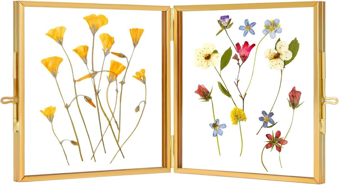 REDHUGO Double Glass Picture Frame Handmade, Glass Pressed Flower Frame, Hinged Brass Picture Frame Tabletop Photo Frames, Dried Flower Display Folding Frame for Home, Square, Gold, 44 Inches