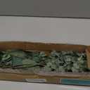 Mixed Eucalyptus Leaves Stems Bulk Artificial Eucalyptus Leaves Sprays Faux Oval Eucalyptus Leaves with White Seeds Stems for Floral Wreath Garland Bouquets Arrangement Wedding Greenery Decoration