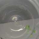 GROSMIMI Spill Proof no Spill Magic Sippy Cup with Straw with Handle for Baby and Toddlers, Customizable, PPSU, BPA Free 6 oz (Aqua Green)