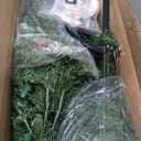 Pre-lit Hinged Christmas Tree w/ Remote Control & 9 Lighting Modes