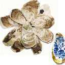 20pcs Flat Oyster Shells,Medium Oyster Shells for Crafts 3"-4" Natural Oyster Shells Bulk, for Home Vase Filler,DIY Arts Crafts Sea Shells
