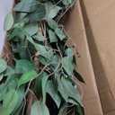 3ft Ficus Artificial Trees with Natural Curved Trunks, 36" Tall Lush Faux Tree for Home Decor Indoor, Green Lifelike Fake Ficus Tree Artificial Plants(Set of 2)