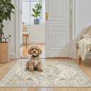 Madane Washable Area Rug 2x3, Small Entryway Rug Non-Slip Vintage Door Mat Indoor Entrance, Low Pile Floor Carpet for Inside Front Door Bedroom Kitchen Entry Laundry (2'x3', Ivory/Brown)
