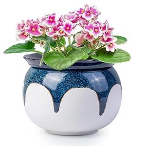 LITUDISO African Violet Pots, 6 Inch Self Watering Pots for Indoor Plants, Easy Plant Self Watering Planter, Ceramic Plant Pot with Absorbent Inner Pot for Flowers - Gradient Blue (No Plants)