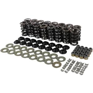 NEXAGEBIUS 660" BTR Brian Tooley Racing LS Dual Valve Spring Kit with Steel Retainers SK001 SK001S Compatible with LS1 LS2 LS3 LS4 LS6 L76 L92 L99 LQ4 LQ9 L33 LSA 4.8L 5.3L 5.7L 6.0L 6.2L