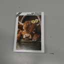 Great Jigsaw Puzzles for Adults 300 Pieces Highland Cow Puzzles for Adults Toys Gift Family Decoration Kids Puzzle (15"x10"-300PCS)