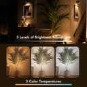 Spot Lights Indoor, 5W Plants Uplights Indoor with Remote Control Timer&Dimmable, 3CCT LED Picture Display Light Accent Lighting, Floor Spotlight Indoor for Tree, Artwork, 5.9 FT Plug Cord&Foot Switch