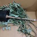 Artificial Olive Tree for Living Room Decor, 6FT Bendable Fake Plants Artificial Indoor, Faux Silk Plant Fake Trees in Potted with Oliver Branch Leaves and Fruits for Modern Home House Office Dcor