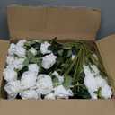 Rowfad 120 Pcs Artificial Roses Bulk Velvet Silk White Roses White Roses for Wedding Centerpieces Bridal Bouquet Mohter's Day Home Decor (120, White)