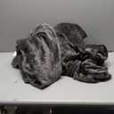 BEDELITE Flannel Sheets Full Size Dark Gray - Super Soft Fleece Sheets Set Fluffy Extra Plush, 4 Piece(Include Fitted Sheet, Flat Sheet, 2 Pillowcases)