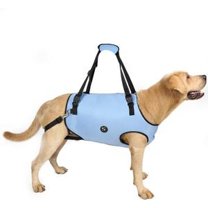 Coodeo Dog Lift Harness, Pet Support & Rehabilitation Sling Lift Adjustable Padded Breathable Straps for Old, Disabled, Joint Injuries, Arthritis, Loss of Stability Dogs Walk (Blue, M)
