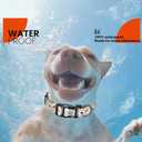 2 x Reflective Dog Collar, Personalized Dog Collars with QR Code Buckle, Soft Nylon Pet Collar Adjustable for Large Dogs, Camo Gray L