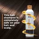 Beauty Concepts Daily Care Shampoo | Nourishes & Hair Growth | Smooth hair | For Women & Men 1000ml