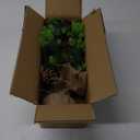 [ 12 Modes & Timer] Christmas Artificial Tree LED Warm Lights Battery Operated Red Berries Pine Cone Burlap Base Indoor Home Christmas Decorations