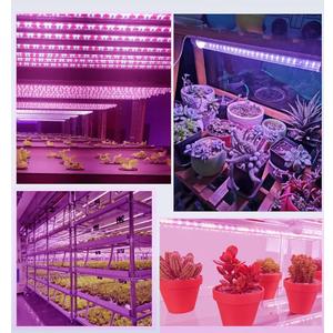 Green Watt Led 2Ft Grow Light 40Wt Red & Blue