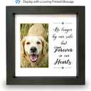 Dog Memorial Picture Frame with 5 Display Options- Dog Collar Memorial Frame Gift - Cat or Dog Pet Loss Gift for a Grieving Friend - Pet Remembrance Gift and Sympathy Photo Keepsake | 9 x 9 x 1.8 inch