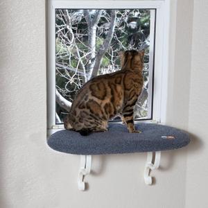 K&H Pet Products Kitty Sill Cat Window Perch for Large Cats, Orthopedic Window Hammock Bed Holds 40LBS, Washable Cover, Kitty Windowsill Bed Seat for Indoors - Gray Fleece, Unheated, 14 X 24in