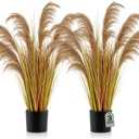 Jexine 2 Pcs 3 ft Fall Artificial Pampas Grass Plants in Pots