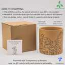 BASE ROOTS Mushroom Planter, Speckled Terracotta, Indoor/Outdoor, Holds Small Plants