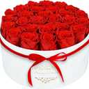 27 Forever Flowers in a Luxury Suede Box, Preserved Roses Birthday Gifts for Women, Romantic Anniversary Wedding Gifts for Women Her Girlfriend Wife, Red