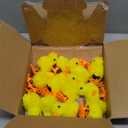 Ceenna 24 Pcs Adopt a Chick Party Favors 12 Wind up Jumping Chick 12 Foldable Chicken Coop Box with Raffia Grass Bowknot Chicken Party Favor Adopt a Farm Animal Birthday Gifts