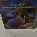 Herding Ball for Dogs Large, Upgraded Durable 18" Dog Herding Ball for Australian Shepherd, Collie Horse Ball for All Breeds, Herding Dog Toys Indoor Outdoor Play Exercise (Blue-Orange, M)