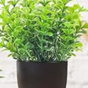 Der Rose 4 Pack Small Fake Plants Mini Artificial Faux Plants in Pots for Home Office Bedroom Living Room Decor