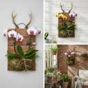 Staghorn Fern Mounting Board Kit Wooden Wall Planter Hanging Plant Holder for Vertical Plant,Platycerium, Orchids,Succulents(Rectangular)
