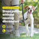 PetSafe Gentle Leader No-Pull Dog Headcollar - The Ultimate Solution to Pulling - Redirects Your Dog's Pulling for Easier Walks - Helps You Regain Control - Medium, Black