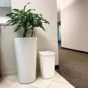 Rubbermaid Small Kitchen Bathroom Trash Can, 9 Gallons, White, Waste Basket for Under Counter/Kitchen/Office/Bedroom/Bathroom