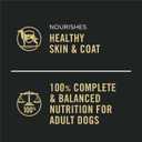 Purina Pro Plan Complete Essentials, Beef and Vegetables Entree in Wet Dog Food Gravy - (Pack of 12) 13 oz. Cans BBD Nov 2027