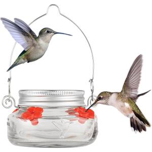 Nature's Way Bird Products MJF1 Nature's Way Mason Jar Hummingbird Dish Feeder, Clear (4" dia.)
