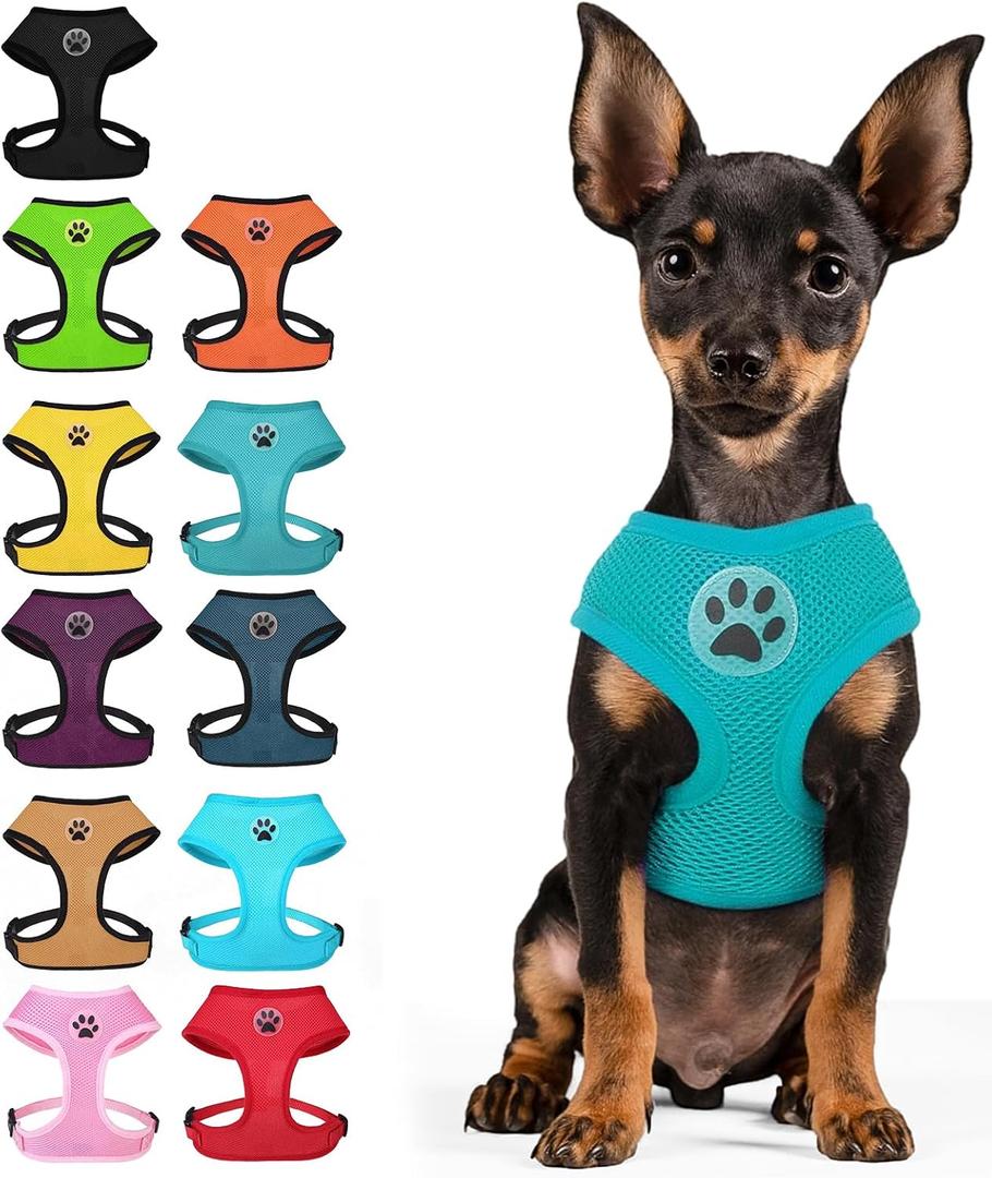 BINGPET Small Dog Harness, No Pull Dog Harness Small Sized Dogs, Soft Light Breathable Mesh Puppy Vest with Safety Buckle-Adjustable Step in Pet Harnesses for Easy Walking, Running, Training