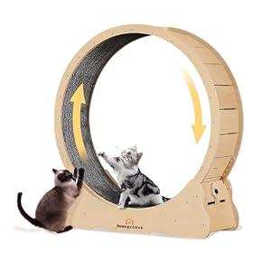 Homegroove Cat Exercise Wheel for Indoor Cats, 35.4 Inch