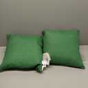 Arden Outdoor Toss Pillow, 2 Pack, 16 x 16, Rain-Proof, Fade Resistant Moss Green Leala
