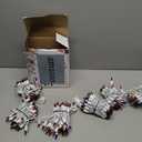 Novelty Lights 50 Feet 100 Bulb Incandescent Mini Light String, Multicolor with 6-Inch Spacing on White Wire, UL Listed Commercial Grade Indoor/Outdoor Mini Lights, Connectable End-to-End