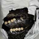 200 Pack 1 inch Foam Brush Bulk Foam Paint Brush Sponge Paint Brush with Wood Handle for Acrylics, Stains, Varnishes, Crafts