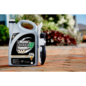 Roundup Ready-To-Use Max Control 365 with Comfort Wand, 1.33 gal.