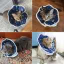 Soft Cat Cone, Adjustable Recovery Collar After Surgery to Prevent Licking Wound, Protective Cat Neck Cone, Comfortable Pet Elizabethan Collar for Cats Kittens and Puppies (L)
