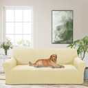Stretch Couch Cover Washable Sofa Slipcover Furniture Protector with Non Skid Foam and Elastic Bottom for Kids, Dog(Large/Beige)