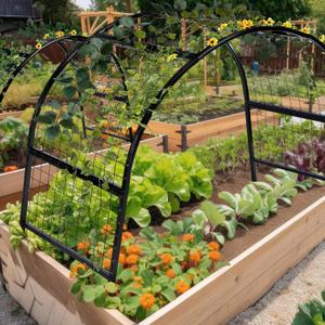 Newtay Arch Trellis for Planter Box Garden Wide Arbor Trellis Metal Arbor for Climbing Plants, Vegetables and Flowers Decorative Outdoor(6 x 2 x 6 ft)