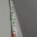 Creative Converting 013704 Plastic Banquet Table Roll, Holly, 50'